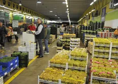 Il Maap, Mercato agro alimentare di Padova, sta migliorando la propria logistica interna. Giovedì 3 ottobre FreshPlaza si è recata, dalle 5 del mattino, in visita alla struttura (fotoservizio Cristiano Riciputi)