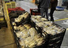 I primi radicchi di Treviso