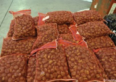 Inizia il periodo delle castagne. In questo caso si tratta di un prodotto sterilizzato proveniente dalla Campania