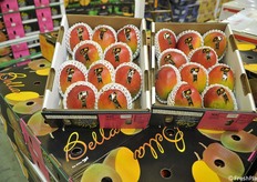 Mango confezionato e trasportato per via aerea