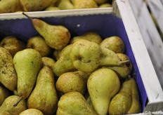 Poche pere e qualcuna segnata dalla cimice