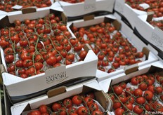 Per il pomodoro non vi è più stagionalità, il consumatore lo vuole tutto l'anno