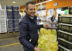Mirco Daniele mostra con orgoglio del radicchio veneto
