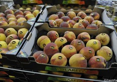 Pesche italiane di alta qualità