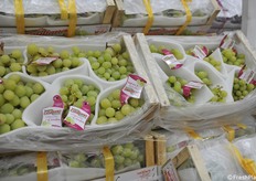 Altra uva da tavola di alta qualità