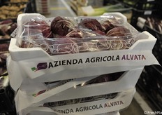 Inizia la stagione dei radicchi veneti