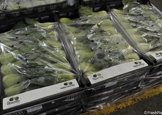 Verdure dalla Val Venosta