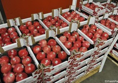 Melagrane per il consumo fresco