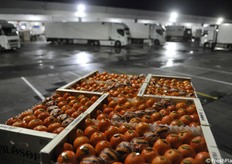 Una suggestiva veduta notturna