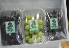 Uva da tavola a marchio Salvi