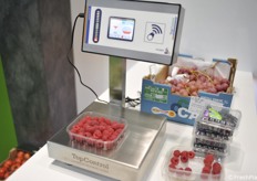 Uno dei sistemi di pesatura di Top Control