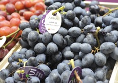 Uva Arra 32, prodotta in Piemonte, che si caratterizza per elevata qualità organolettica e croccantezza degli acini