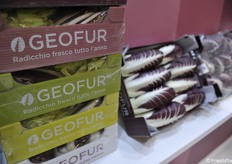 Radicchi a marchio Geofur