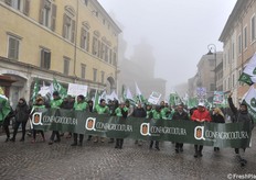 Cia, Confagricoltura e Copragri, ma uniti nell'unica bandiera Agrinsieme