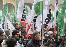 Cia, Confagricoltura e Copragri, ma uniti nell'unica bandiera Agrinsieme