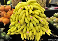 Banane in esposizione