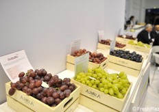 Particolare uve Arra