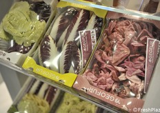 Tipologie di radicchio di Geofur
