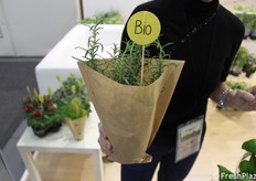 La nuova linea di packaging plastic free, a zero impatto ambientale, denominata Bio&Paperpack