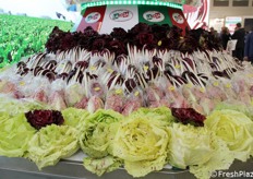 Esposizione dei radicchi La Rosa