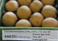 La selezione B48C251 al primo stacco