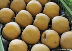 Particolare delle mele