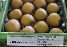 La selezione B48C251 al secondo stacco