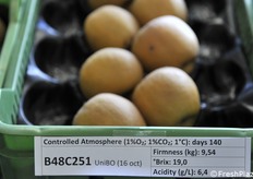 La selezione B48C251 al terzo stacco