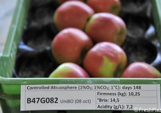 B47G082 raccolta l'8 ottobre