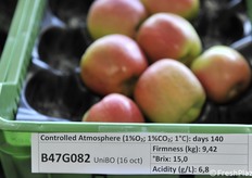 B47G082 raccolta il 16 ottobre