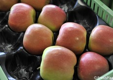 B47G082 al terzo stacco