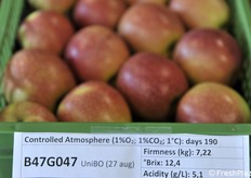 B47G047, precoce raccolta il 27 agosto