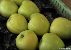 Particolare delle mele