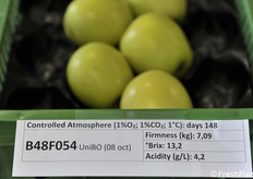 Altra selezione verde