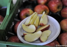 Ovviamente nessuno si è lasciato spaventare dal coronavirus, anche se il docente ha spiegato che le lezioni universitarie si stanno svolgendo via skype 