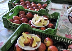 Mele appena affettate