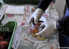 Ogni tipologia di mela è stata fatta assaggiare agli addetti ai lavori