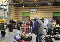 Al Mercato all'ingrosso di Cesena, martedì 5 maggio 2020, il lavoro procede seguendo tutte le disposizioni di legge. La Fase 2 in realtà non ha apportato molti cambiamenti: i privati non possono comunque accedere alla struttura e tutti gli operatori sono tenuti a indossare le mascherine e a mantenere il più possibile la distanza (fotoservizio Cristiano Riciputi)