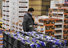 In primo piano asparagi dell'Emilia Romagna