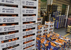 Gli ultimi agrumi siciliani