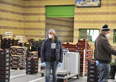 Anche i produttori sono obbligati ad accedere e vendere con tutte le protezioni 