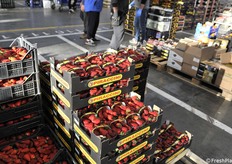 Fragole di produzioni italiana 