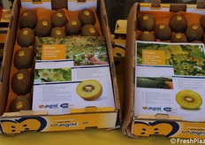 Kiwi Jintao e Jinyan a polpa gialla di Jingold