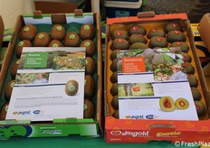 Kiwi Boerica  (polpa verde) e kiwi Donghong (polpa rossa) di Jingold