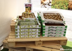 Kiwi a Marchio KingKiwi