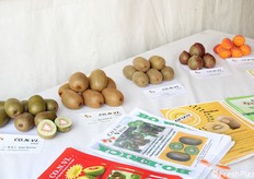 CO.N.Vi Vivai presenta le propri novità varietali