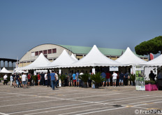 Nutrita presenza di visitatori durante i convegni