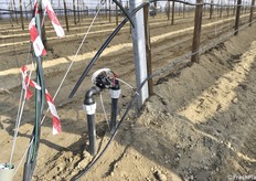 In testata gli impianti idrici