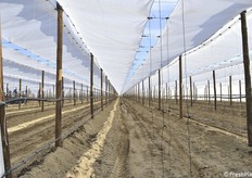 Mancano solo le piante che saranno messe a dimora nei prossimi mesi