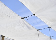 i teli resistono alla neve; in caso di neve oltre il carico massimo c'è un sistema di salvaguardia dell'impianto con rottura dei soli moschettoni in plastica 